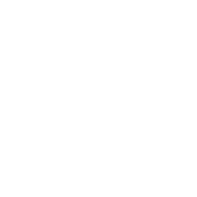 Diagnostics Icon